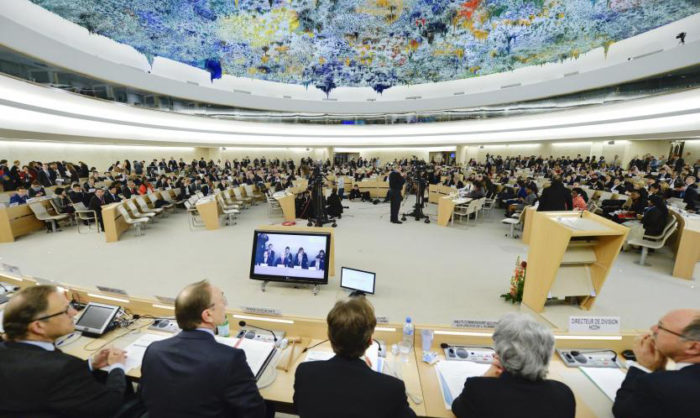 Amnistia Internacional expressa na ONU preocupações sobre acesso à justiça no contexto de crise em Portugal