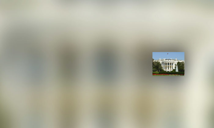 Retórica venenosa não pode tornar-se na política de governação nos EUA