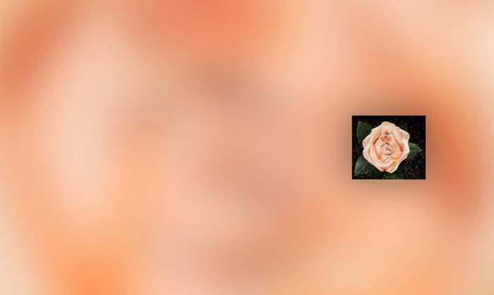 AI Portugal assinala positivamente entrada em vigor da autonomização do crime de mutilação genital feminina
