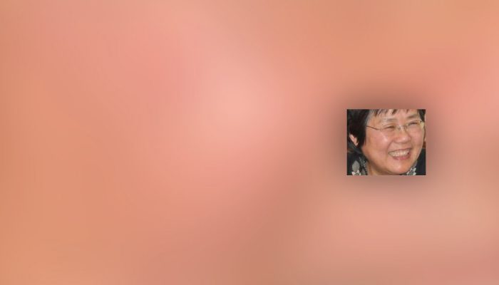 Activista chinesa detida vai a julgamento
