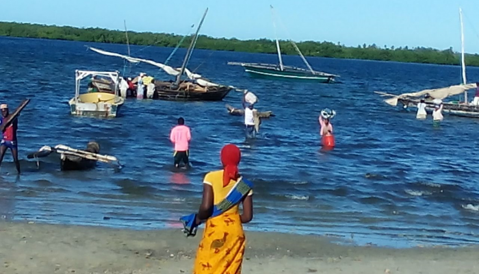 Autoridades em Moçambique têm de travar brutal vaga de chacinas por grupo armado