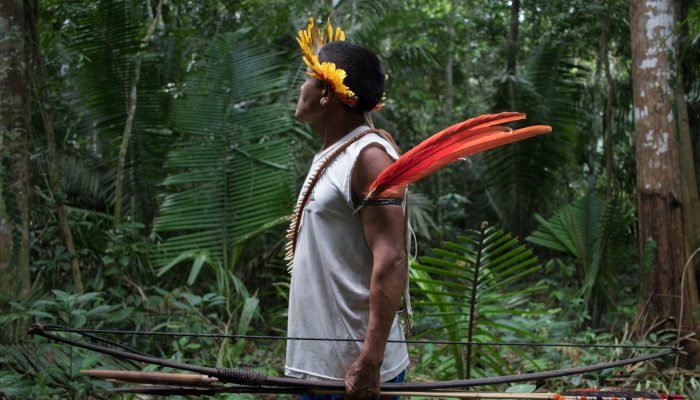 Brasil: Risco de banho de sangue na Amazónia
