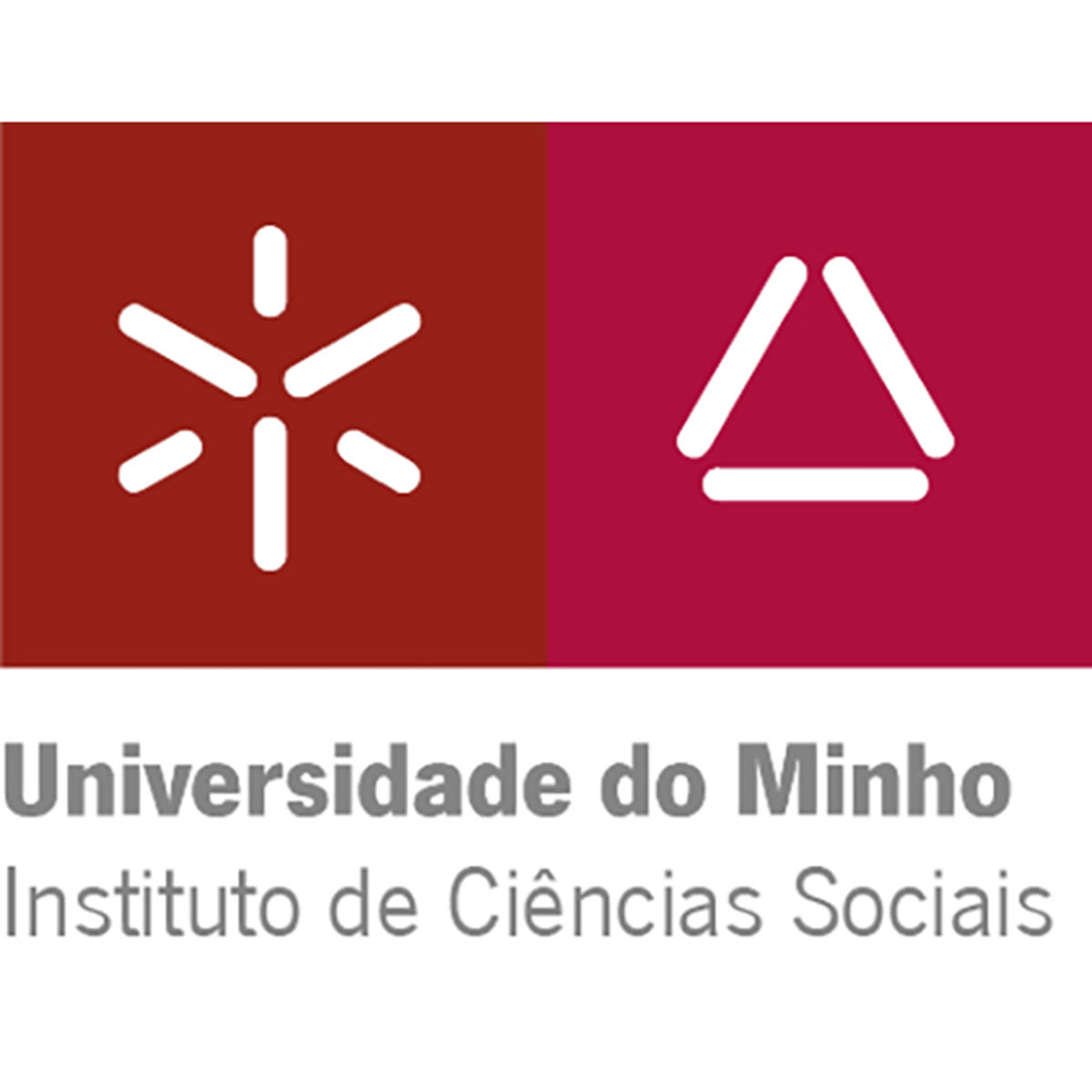 imagem parceiro IRS Amnistia Internacional