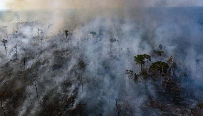 Amazónia precisa de justiça e políticas de proteção