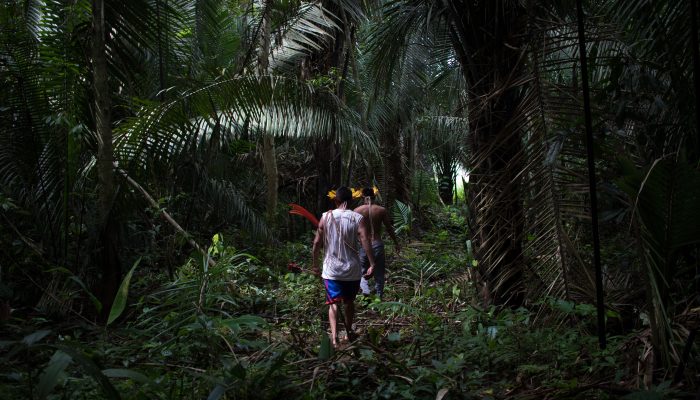 Ocupação de terras e COVID-19: As duas ameaças aos povos indígenas do Brasil