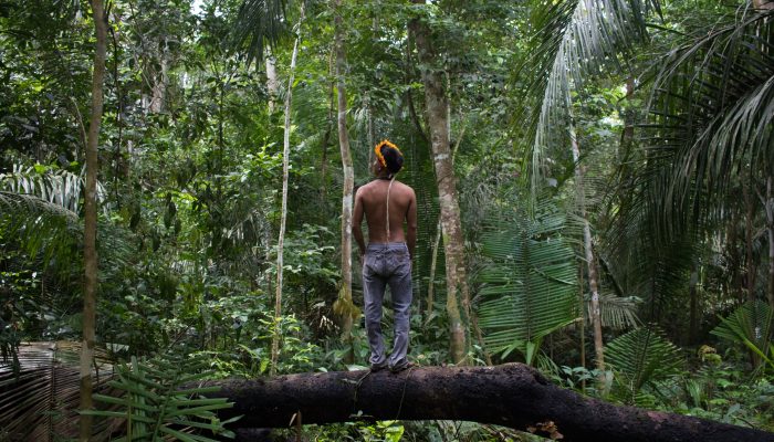 Brasil: Defesa da Amazónia é uma missão de todos