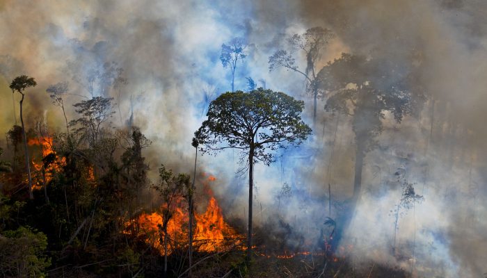 Brasil: Número alarmante de novos incêndios florestais em vésperas do Dia da Amazónia 