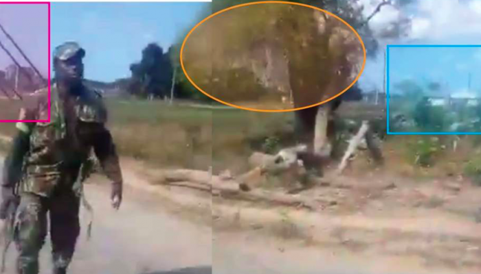 Moçambique: Vídeo com execução de mulher prova mais uma vez violações de direitos humanos pelas forças armadas