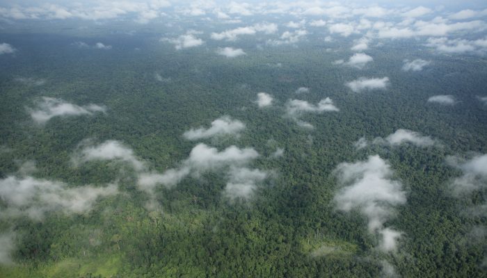 “Justiça climática não deve parar nas fronteiras” dizem organizações de direitos humanos ao TEDH