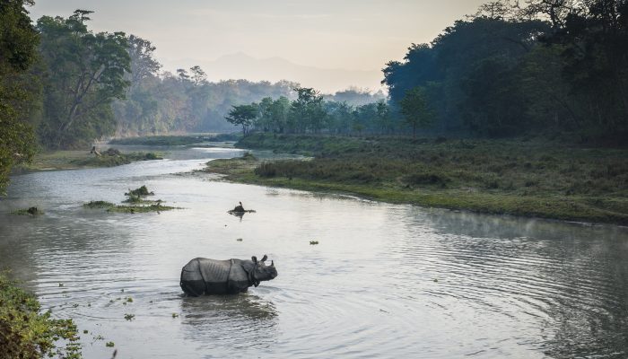 Nepal: Povos indígenas são vítimas da preservação ambiental do país