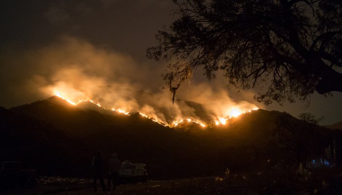 Clima: Temperatura recorde em 2022 demonstra urgência em evitar a rutura climática