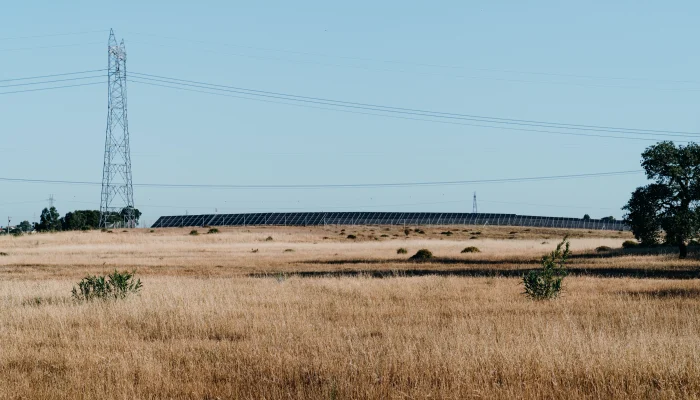 Portugal: Investigação da Amnistia Internacional sobre novas centrais fotovoltaicas instiga posição de autarquias