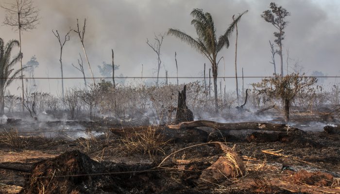 Espanha: Impacto das alterações climáticas ameaça vida de milhares de pessoas