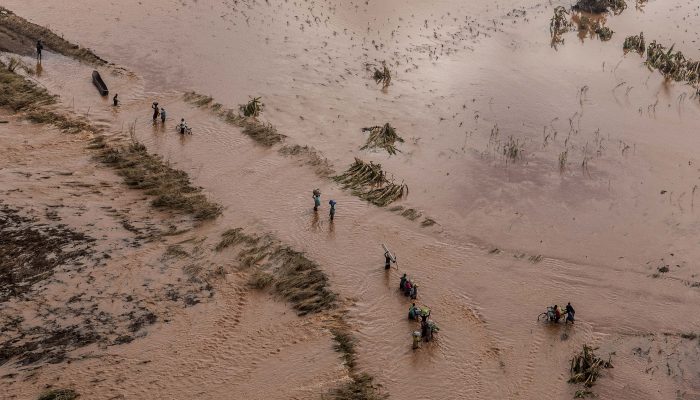 Líbia: Restrições ao trabalho dos media e impedimentos à ajuda humanitária