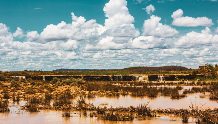 COP28: Líderes africanos devem unir-se na defesa dos direitos humanos e da justiça climática