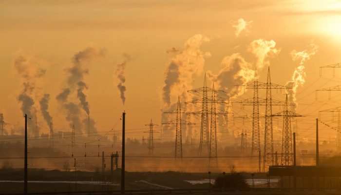 COP28: A cimeira que deve defender os direitos humanos e prevenir os efeitos das alterações climáticas