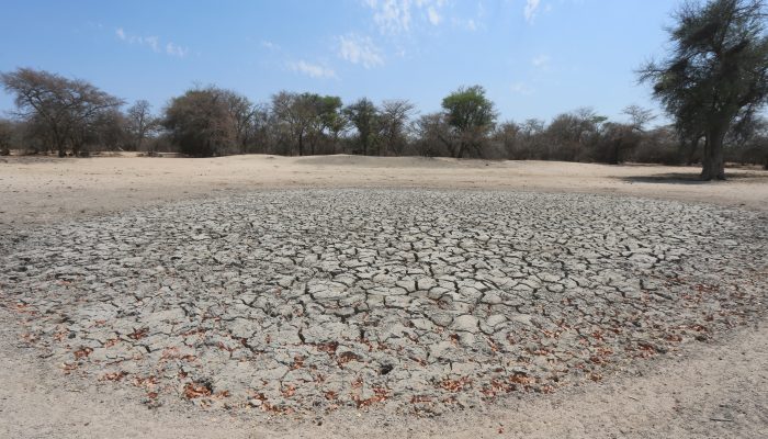 Global: O ano 2023 foi o mais quente de que há registo