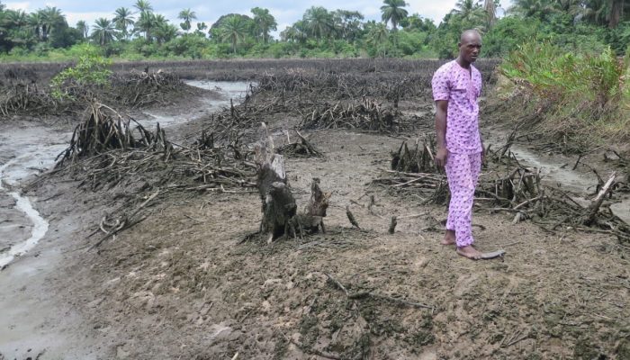 Nigéria: Governo deve suspender a venda da Shell no Delta do Níger