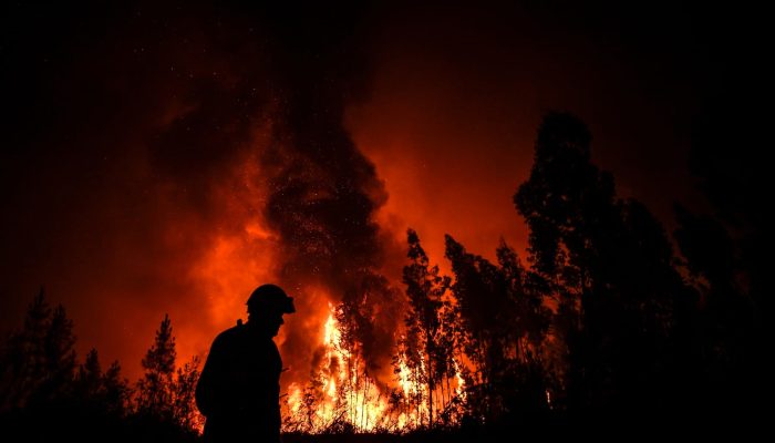 Incêndios: Portugal deve redobrar esforços no combate a causas