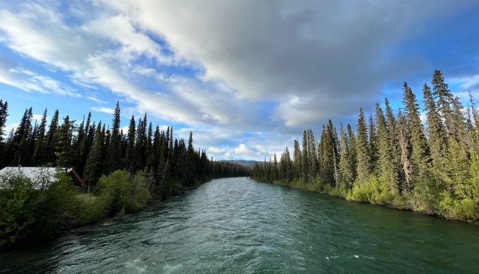 COP16: um plano de biodiversidade compatível com os direitos humanos