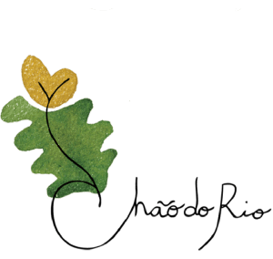 Logo Chão do Rio