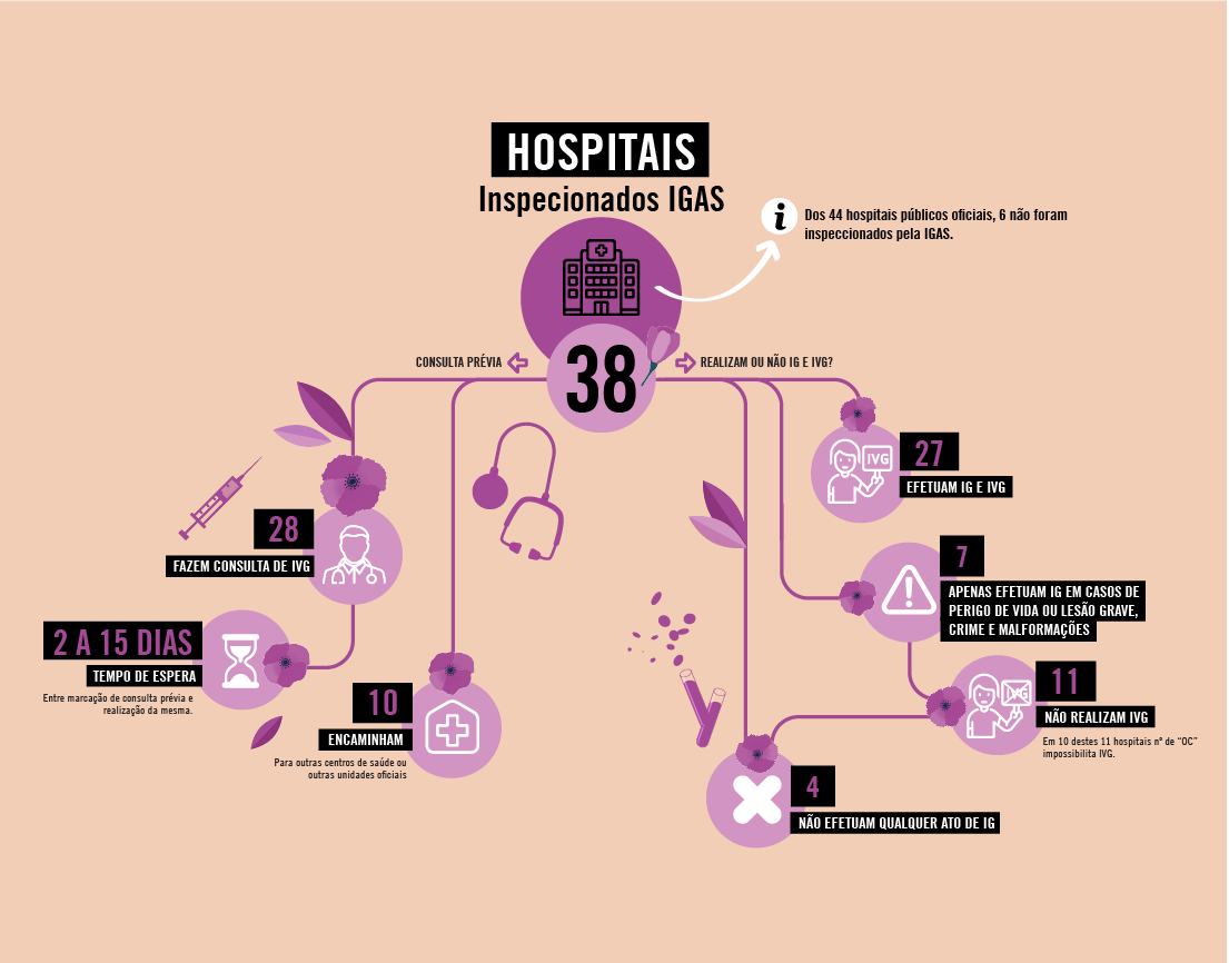 Infografia IVG