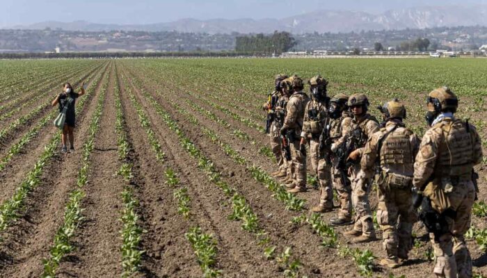 EUA: ataques do ICE têm de parar e não podem passar impunes